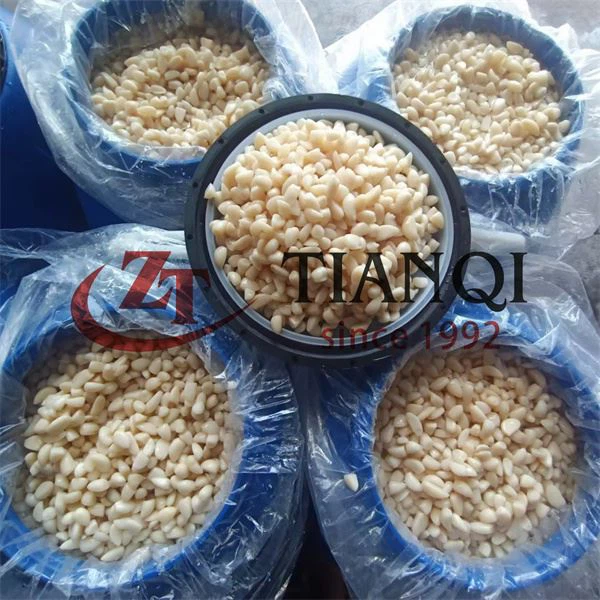Bawang putih dalam air garam dibungkus dalam tong plastik