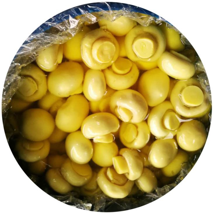 brined-d-champignon-mushroom brined-d-champignon-mushroom