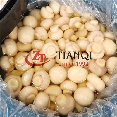 Cendawan yang diawet dalam Drum