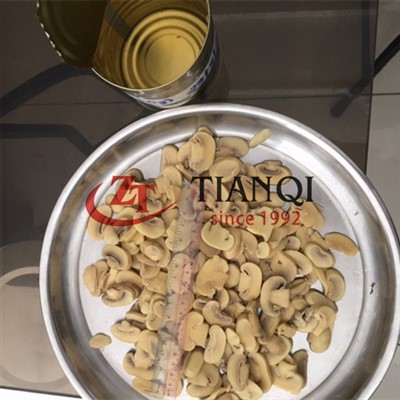 Kilang Cendawan Tin Berkualiti Baik