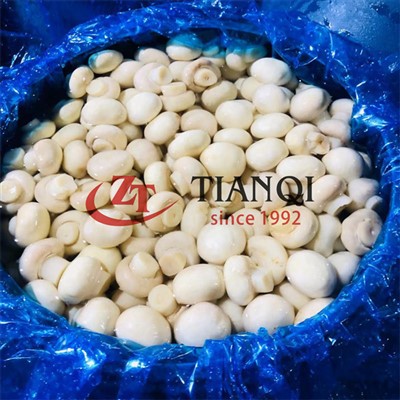 Cendawan champignon cuka dalam dram